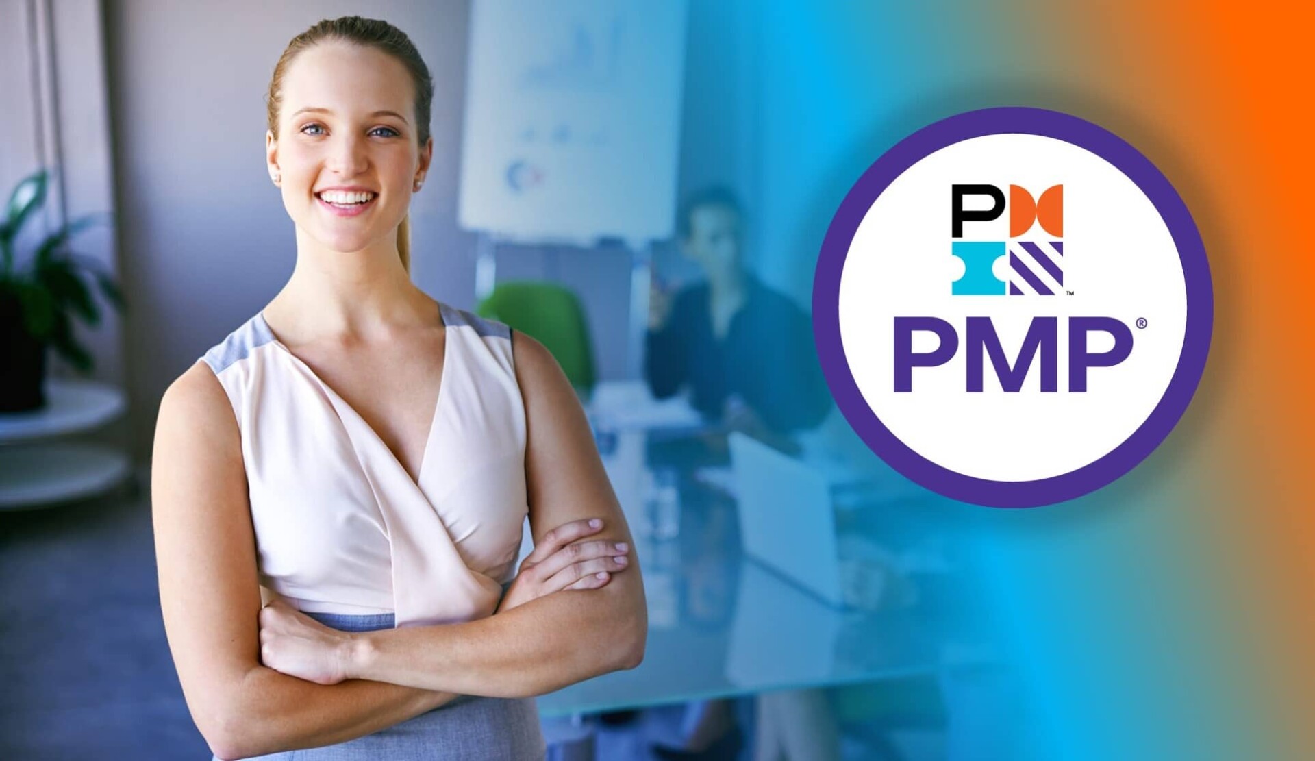 PMI Project Management Professional (PMP) - 7th Edition - TOIT Training